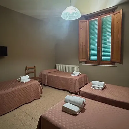 Concordia Hotel 3*